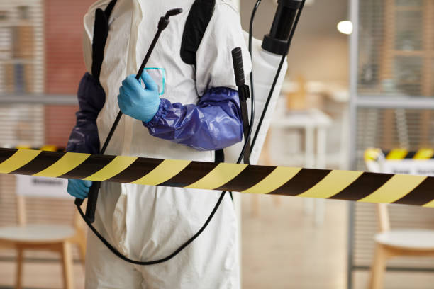 Professional Sewage Cleanup technician working in Pompano Beach, FL